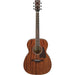 Ibanez AC340 Artwood - Open Pore Natural - Music Bliss Malaysia