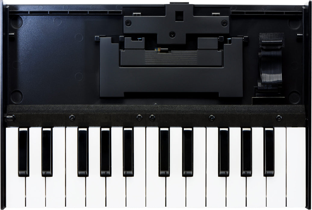Roland Boutique Series K-25m 25-note Accessory Keyboard Unit - Music Bliss Malaysia