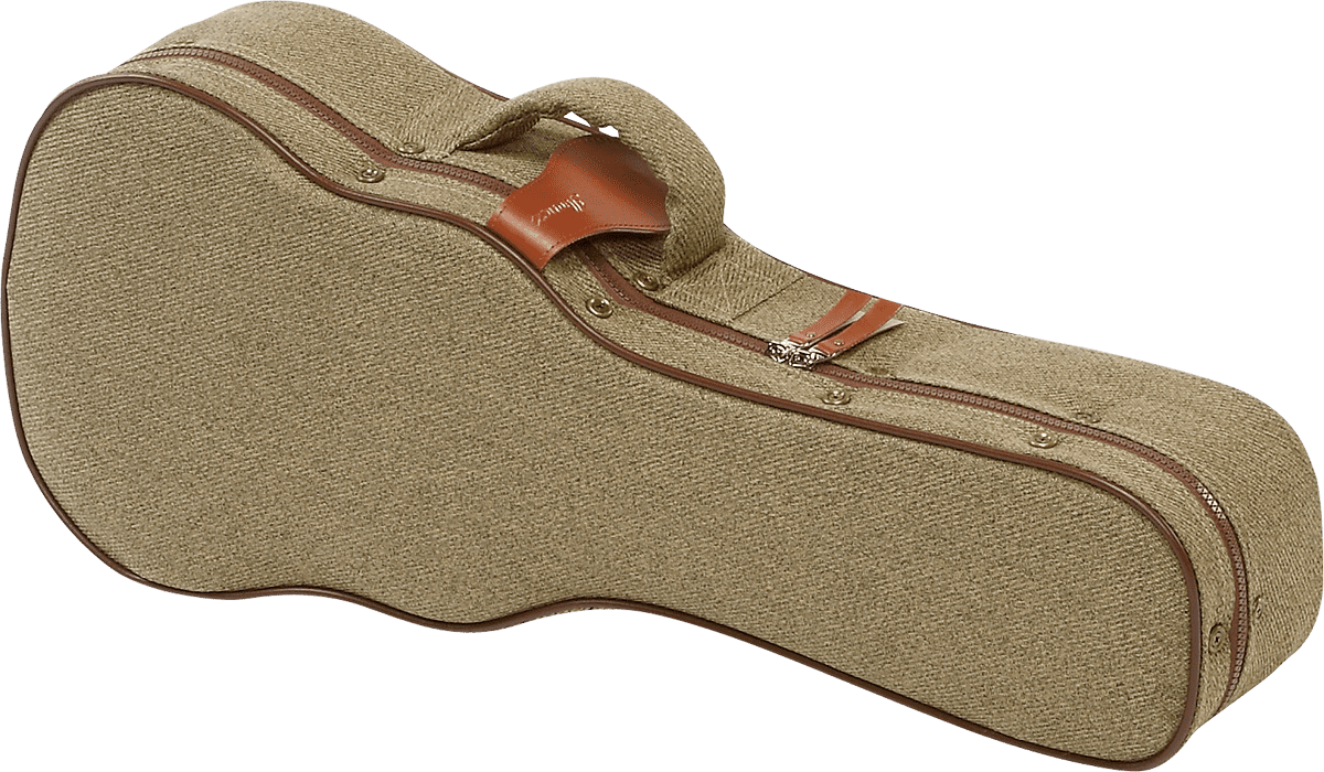 Ibanez FS40DA Acoustic Guitar Foamed Case for AW, AVD, V, PF, PF1512 - Music Bliss Malaysia