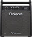 Roland PM-100 80-Watt 1x10 2-Channel Powered Drum Monitor - Music Bliss Malaysia