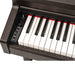 Claydeman FLYKEYS Series LK03S 88-Key Digital Piano Home Electric Piano Keyboard - Rosewood (LK-03S / LK 03S) - Music Bliss Malaysia