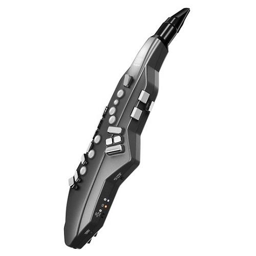 Aerophone hotsell go roland
